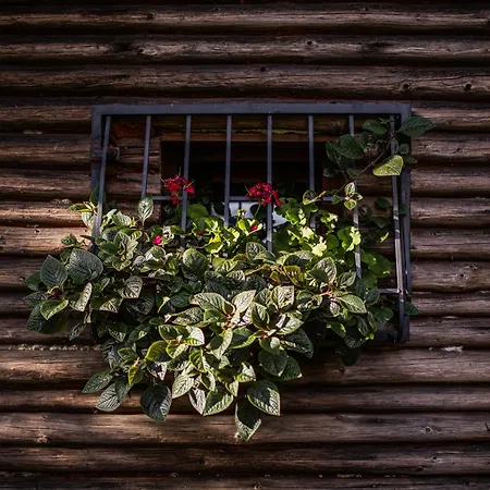 Ranczo Stare Objezierze Moryn