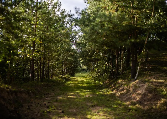 Ranczo Stare Objezierze Apartment *