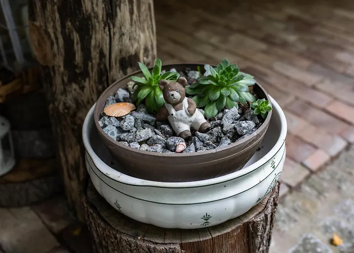 Ranczo Stare Objezierze *