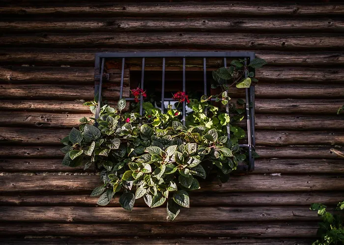 Ranczo Stare Objezierze Moryn