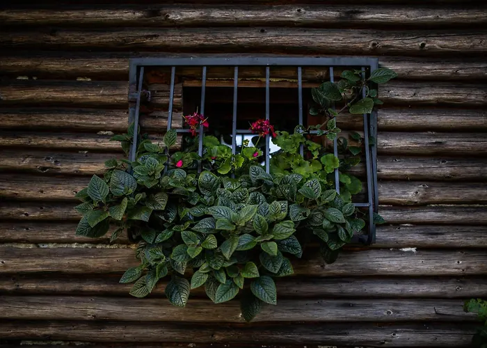 Ranczo Stare Objezierze